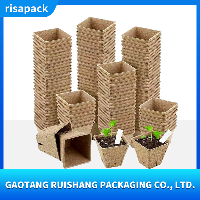 Square seedling cup