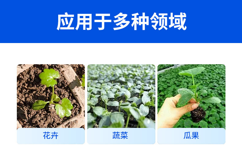 1753346831.webp