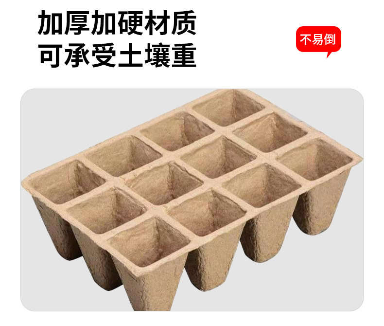 1753346788.webp