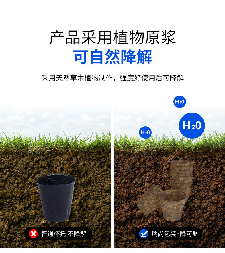 1753346771.webp