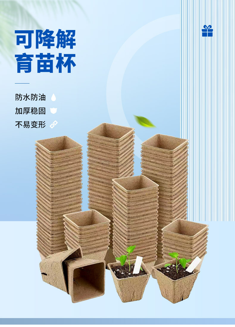 1753346727.webp
