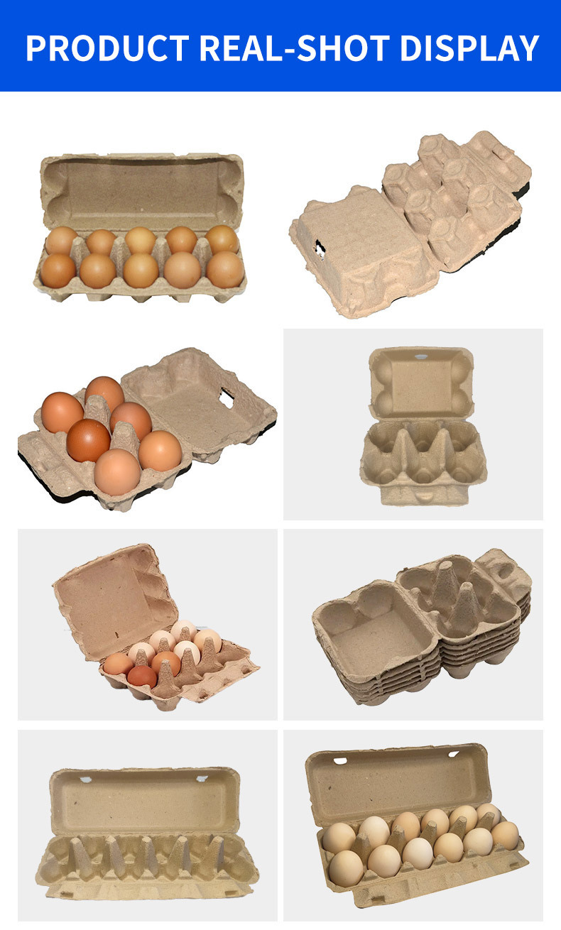 6.webp
