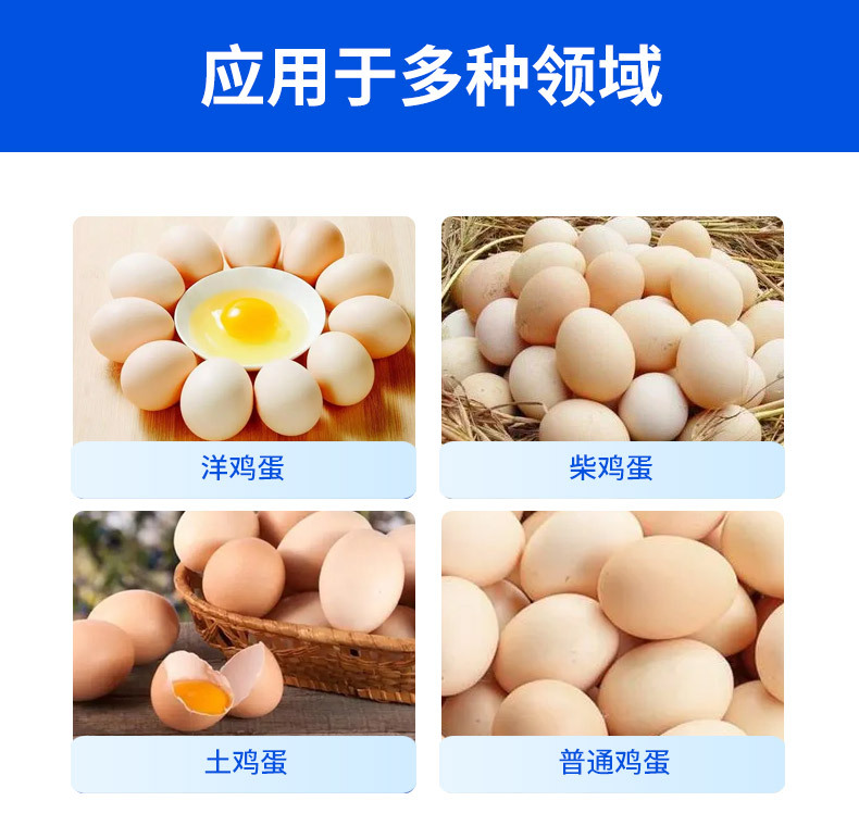 14.webp