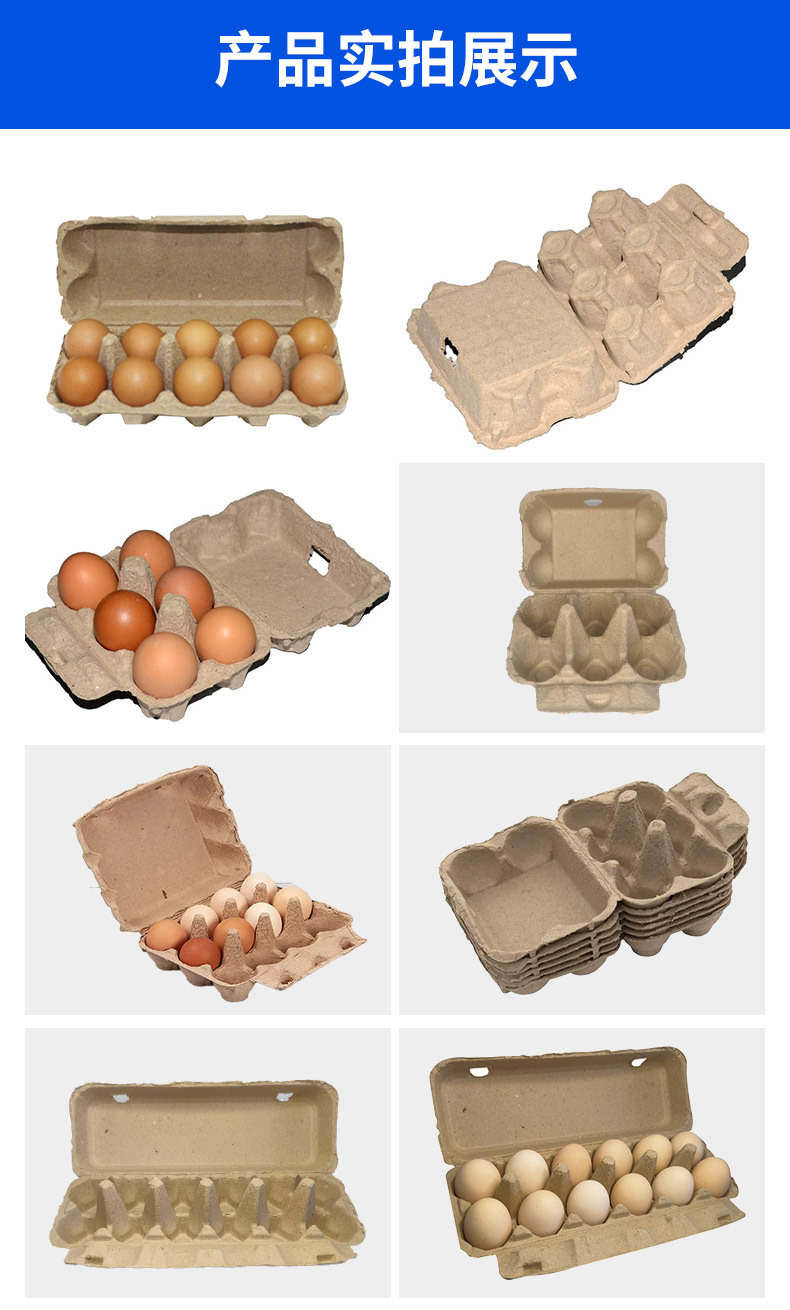 13.webp