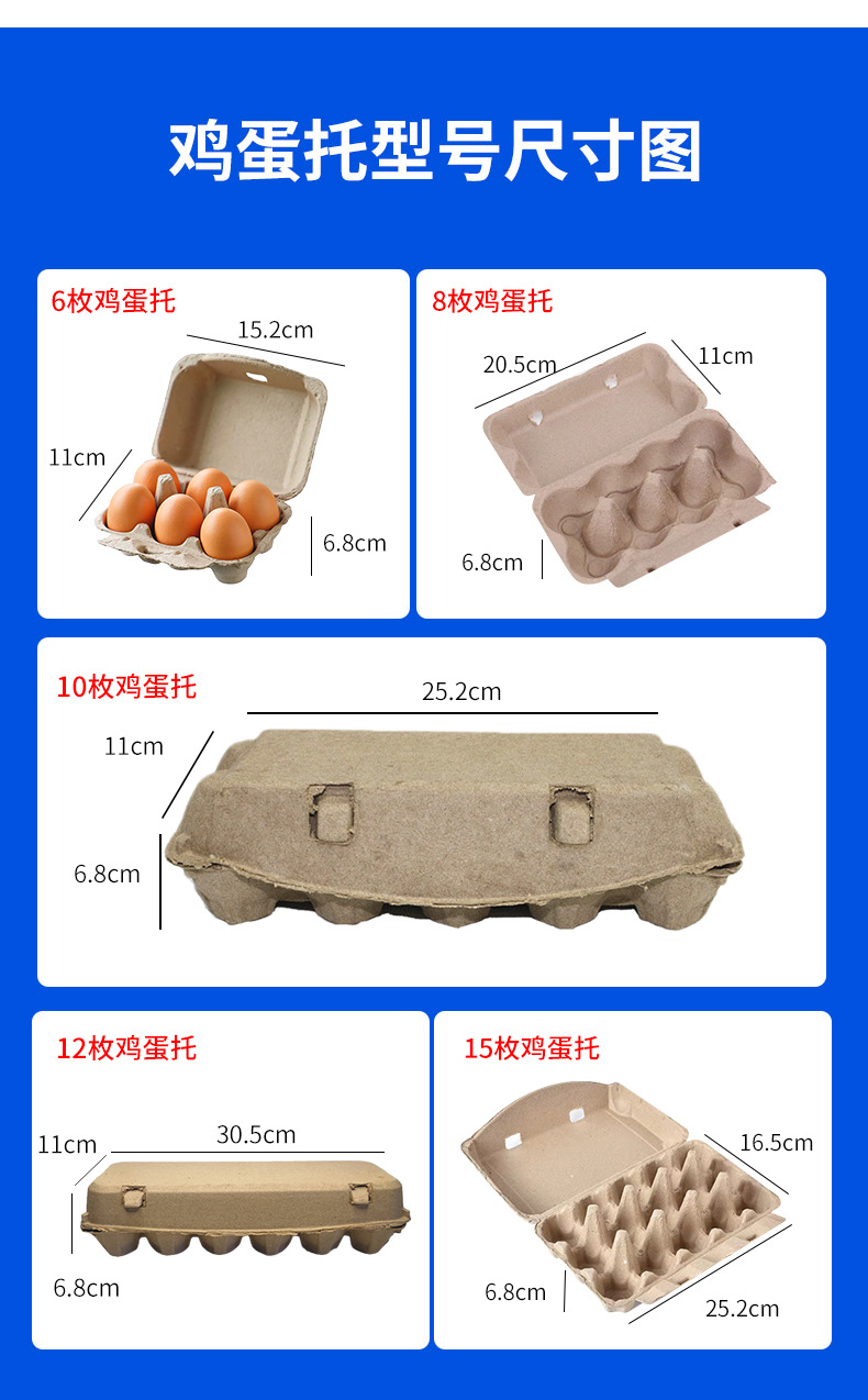12.webp