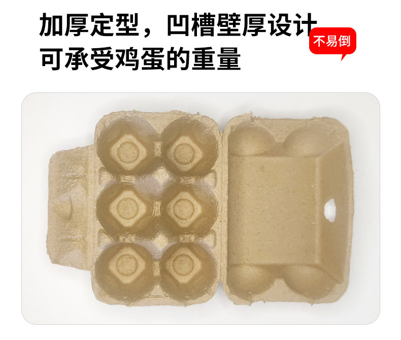 10.webp