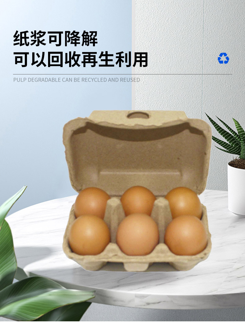 8.webp