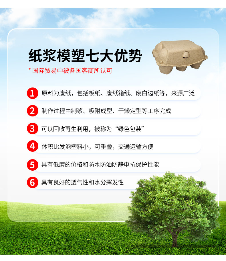 6.webp