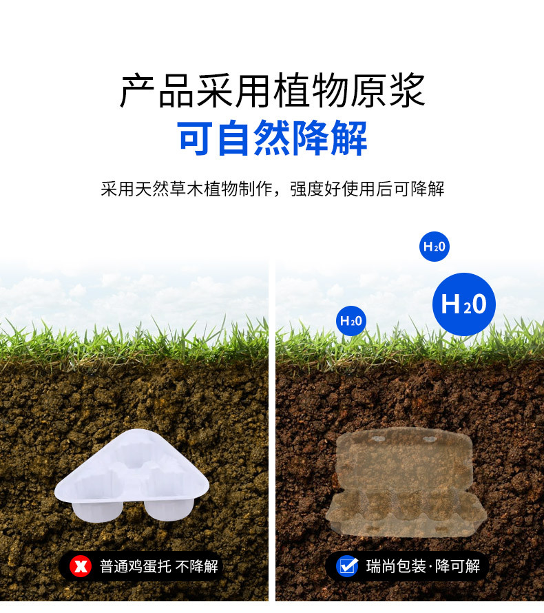 5.webp