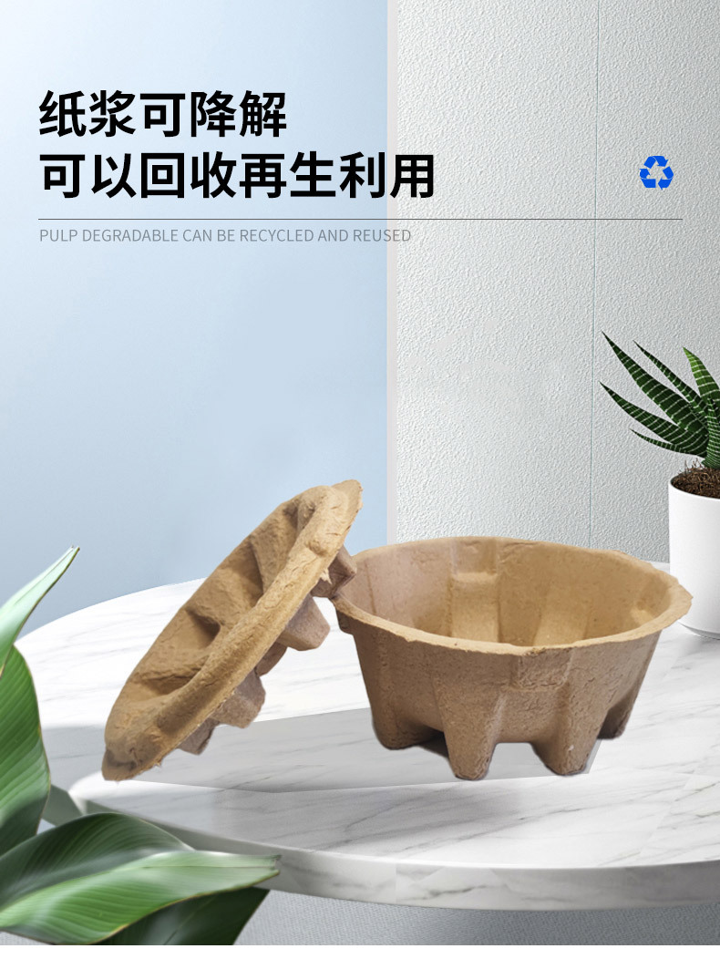 8.webp