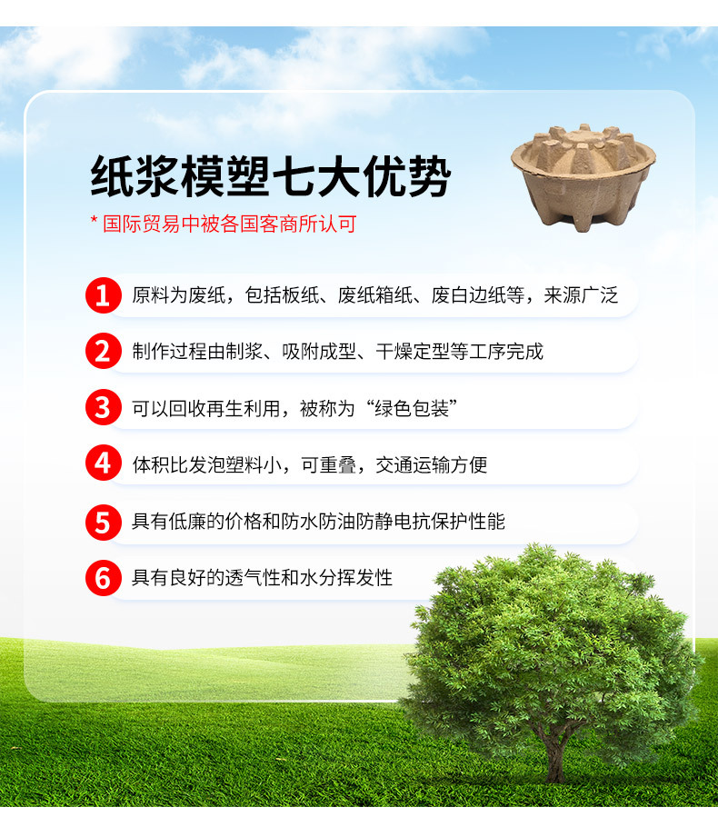 6.webp