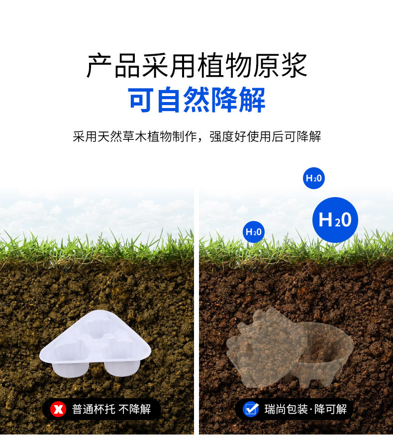 5.webp