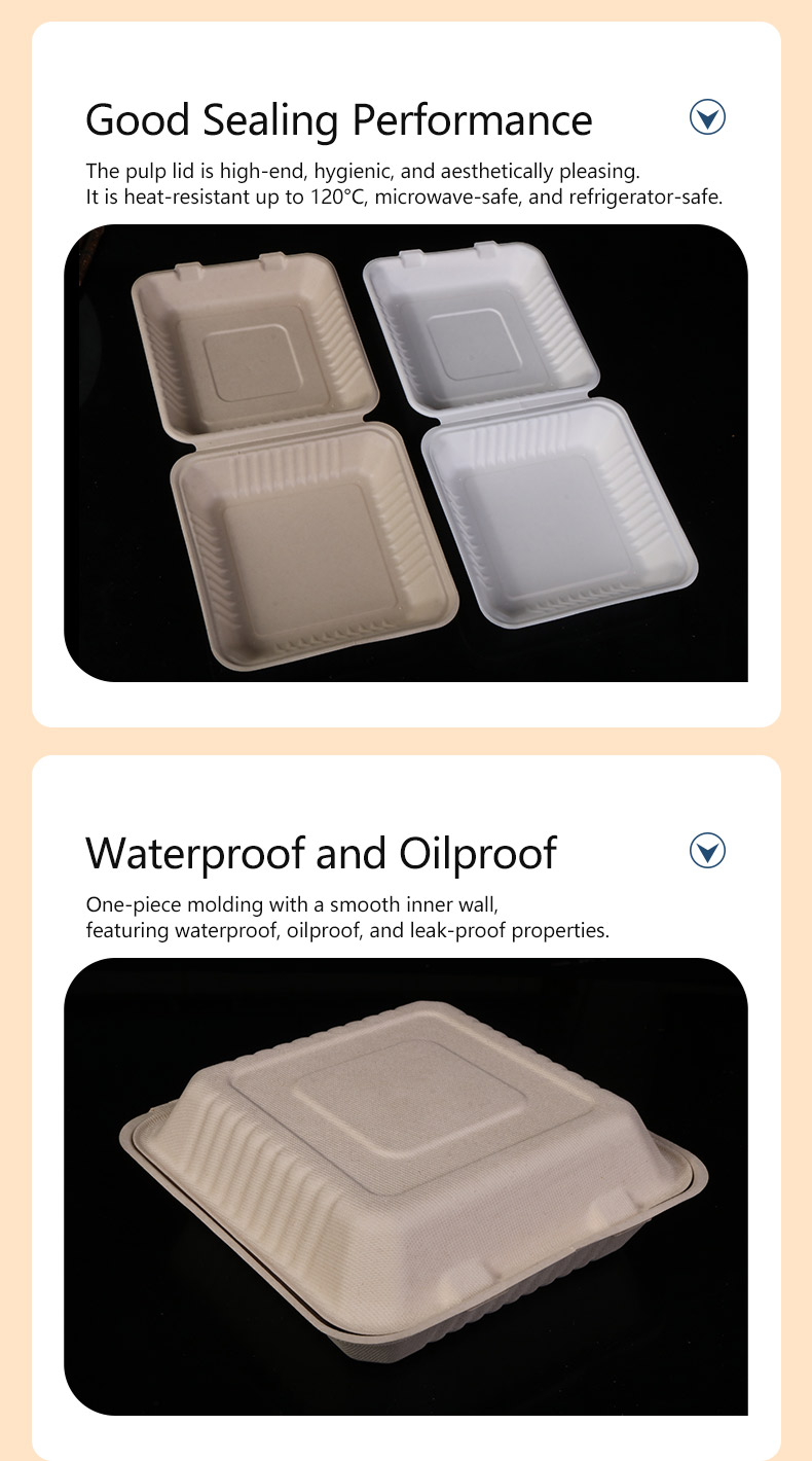 8.webp