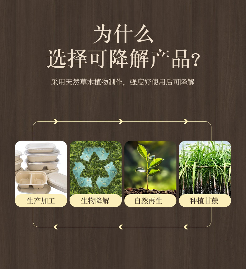 4.webp