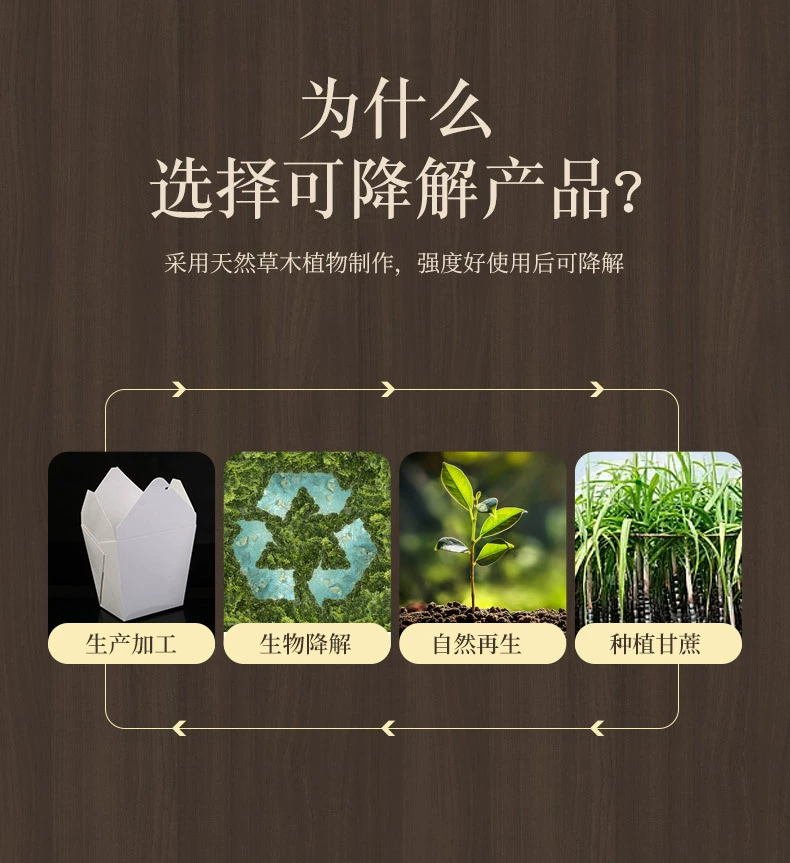 4.webp